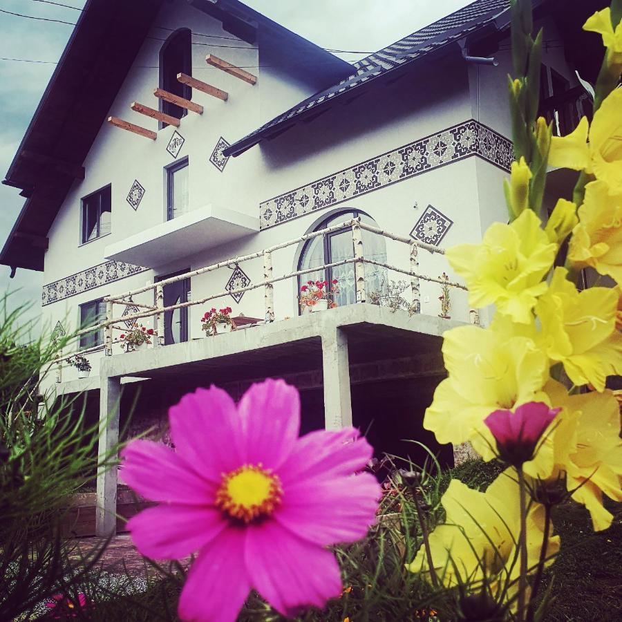Casa Aureliana Villa Ciocanesti Exteriör bild