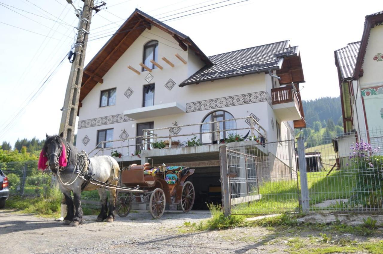 Casa Aureliana Villa Ciocanesti Exteriör bild