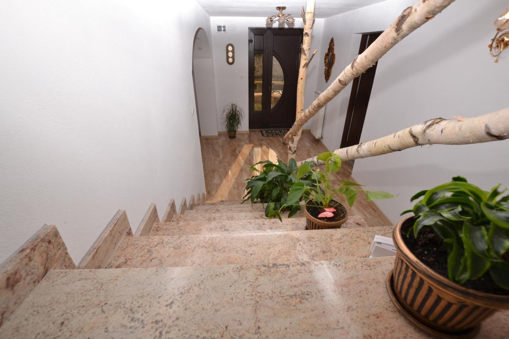 Casa Aureliana Villa Ciocanesti Exteriör bild